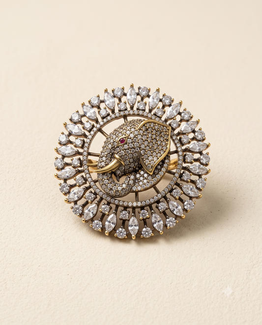 Gaj Halo Brooch